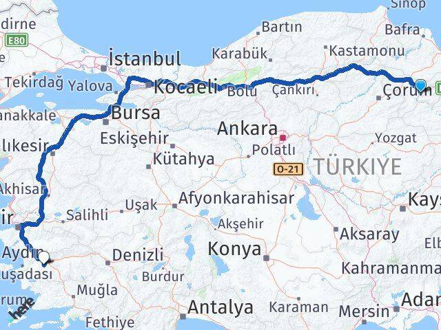 Amasya Koçarlı Aydın Arası Kaç Km - Yol Haritası