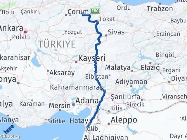 Amasya Samandağ Hatay Arası Kaç Km - Yol Haritası