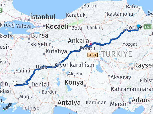 Amasya Sultanhisar Aydın Arası Kaç Km - Yol Haritası