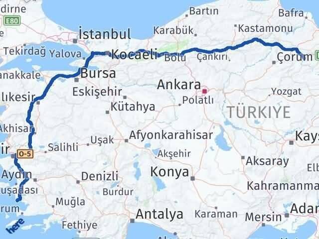 Aydın Didim Amasya Arası Kaç Km - Yol Haritası