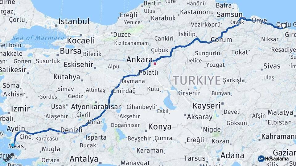 Aydın Didim Ordu Arası Kaç Km - Yol Haritası