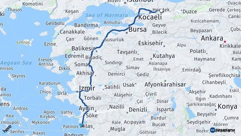 Aydın Didim Sakarya Arası Kaç Km - Yol Haritası