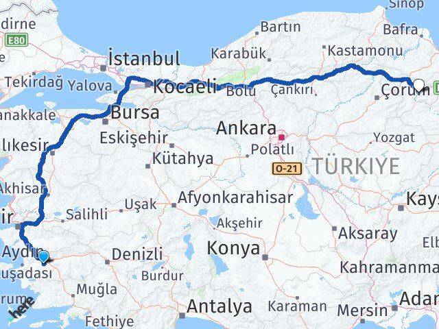 Aydın Koçarlı Amasya Arası Kaç Km - Yol Haritası