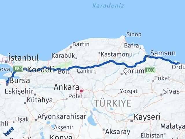 Bursa Osmangazi Ordu Arası Kaç Km - Yol Haritası