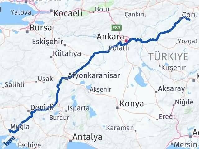 Çorum Mecitözü Muğla Arası Kaç Km - Yol Haritası