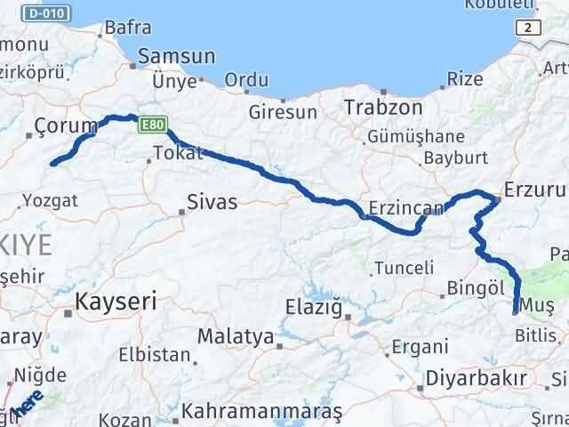 Çorum Ortaköy Muş Arası Kaç Km - Yol Haritası