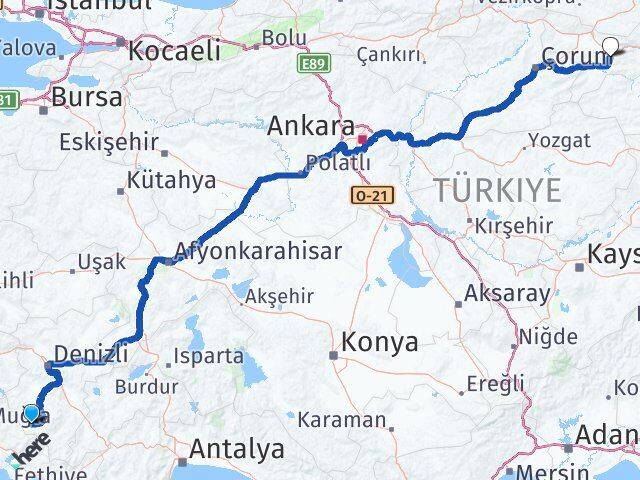 Denizli Beyağaç Amasya Arası Kaç Km - Yol Haritası