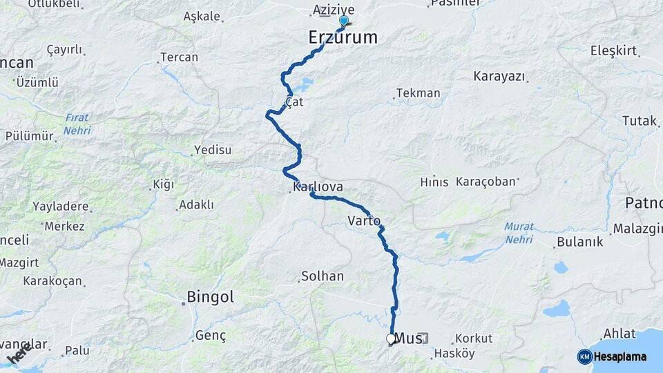 Erzurum Muş Arası Kaç Km - Yol Haritası