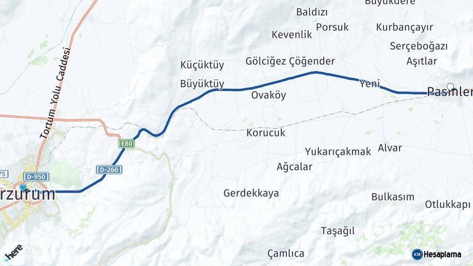 Erzurum Pasinler Arası Kaç Km - Yol Haritası
