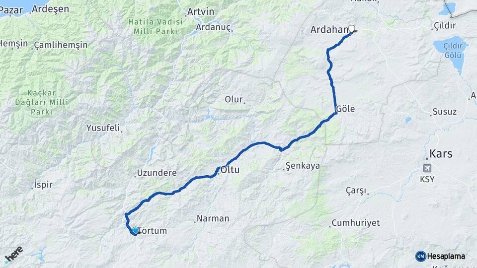 Erzurum Tortum Ardahan Arası Kaç Km - Yol Haritası