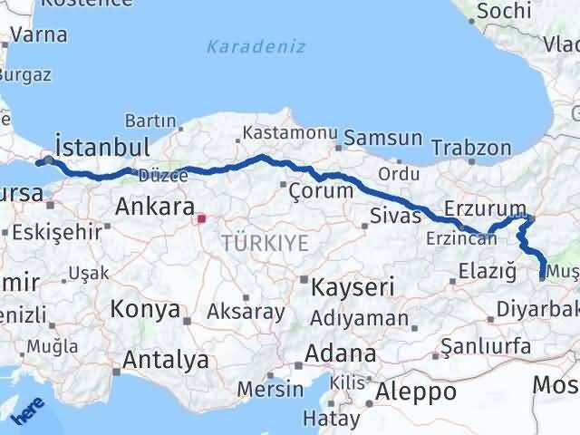 İstanbul Avcılar Muş Arası Kaç Km - Yol Haritası