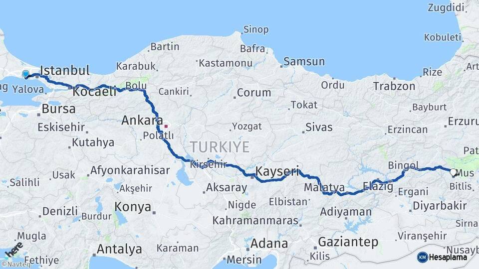 İstanbul Beylikdüzü Muş Arası Kaç Km - Yol Haritası