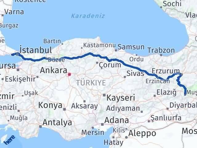 İstanbul Büyükçekmece Muş Arası Kaç Km - Yol Haritası