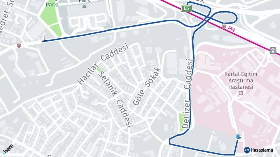 Cevizli Cevizli Arası Kaç Km - Yol Tarifi