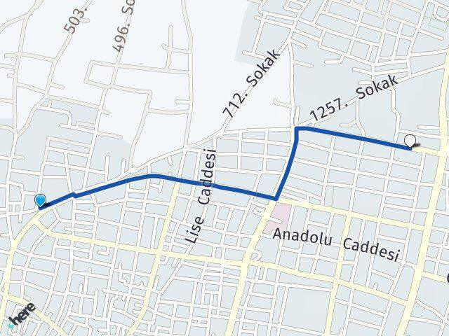 Kuvvetli Atatürk Arası Kaç Km - Yol Tarifi