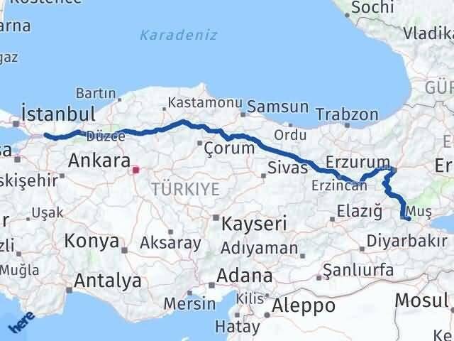 Kocaeli Hasköy Muş Arası Kaç Km - Yol Haritası