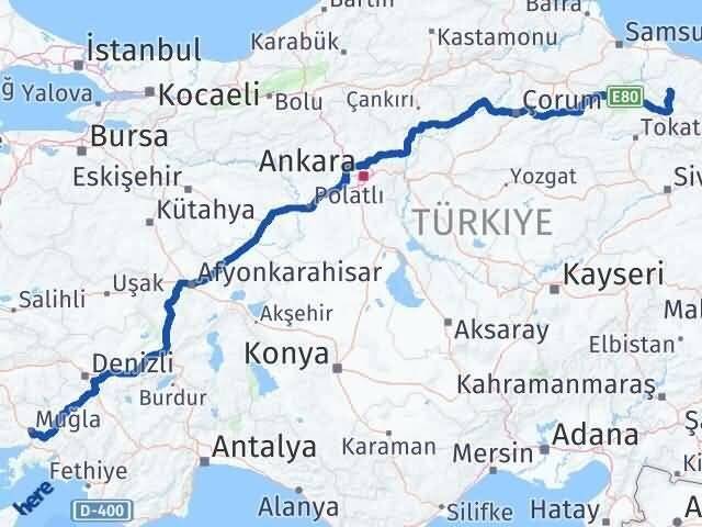 Muğla Akkuş Ordu Arası Kaç Km - Yol Haritası