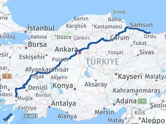 Muğla Kavaklıdere Ordu Arası Kaç Km - Yol Haritası