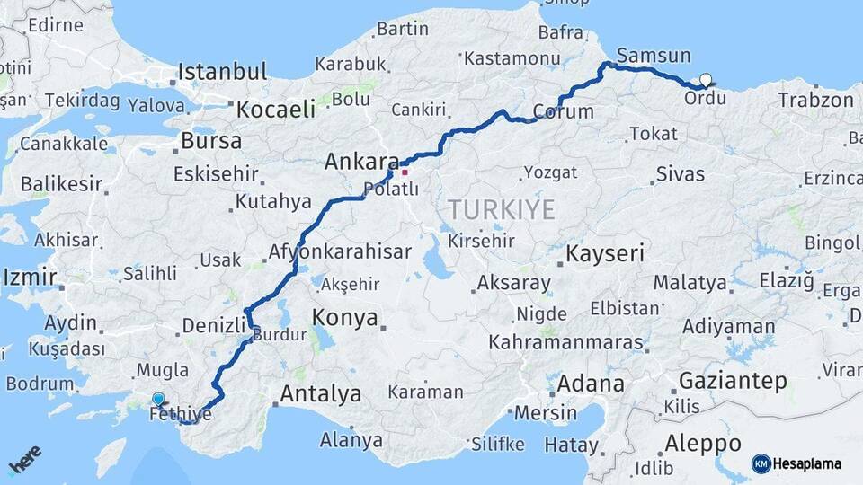 Muğla Ortaca Ordu Arası Kaç Km - Yol Haritası
