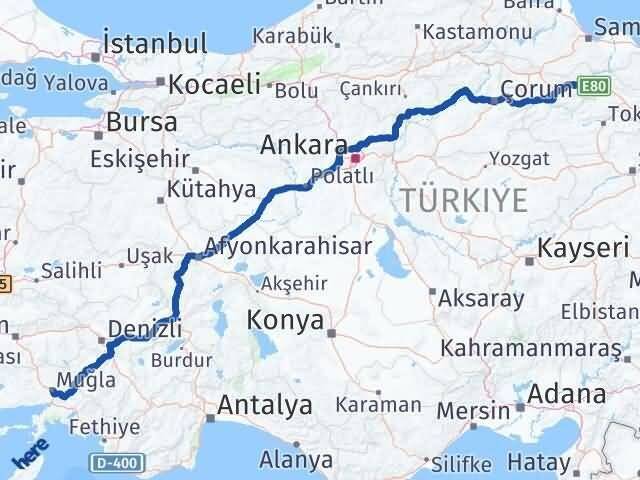 Muğla Taşova Amasya Arası Kaç Km - Yol Haritası