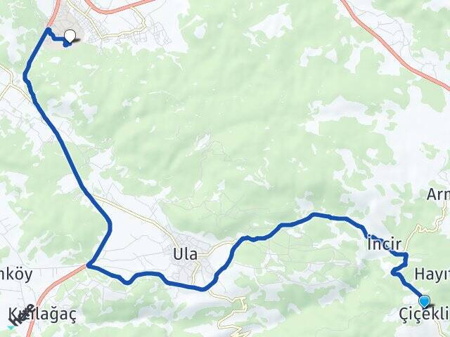Çiçekli Sıtkı Koçman Üniversitesi Arası Kaç Km - Yol Tarifi