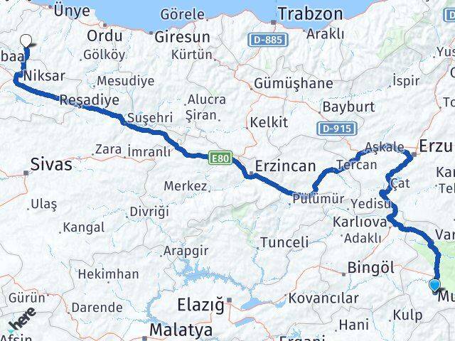 Muş Akkuş Ordu Arası Kaç Km - Yol Haritası