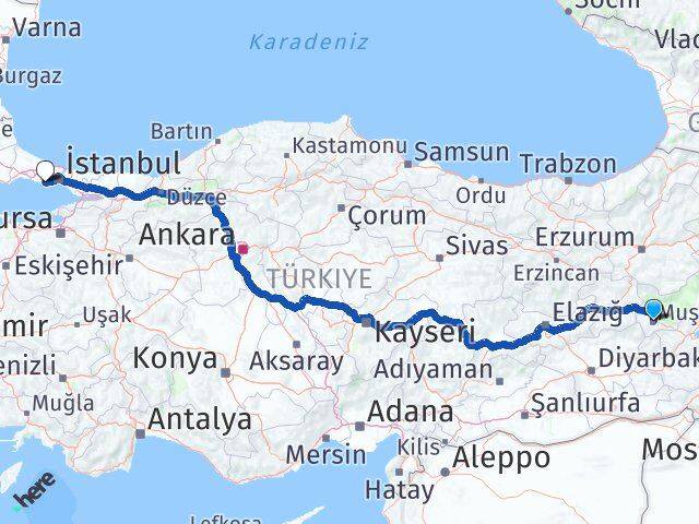 Muş Avcılar İstanbul Arası Kaç Km - Yol Haritası