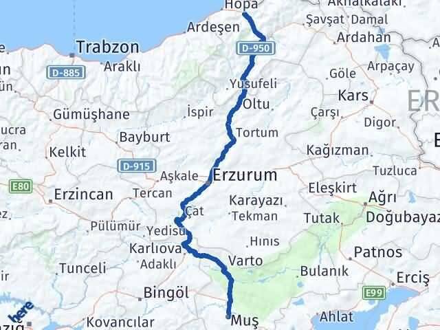 Muş Borçka Artvin Arası Kaç Km - Yol Haritası