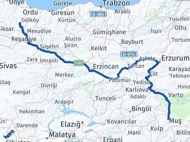 Muş Gölköy Ordu Arası Kaç Km - Yol Haritası