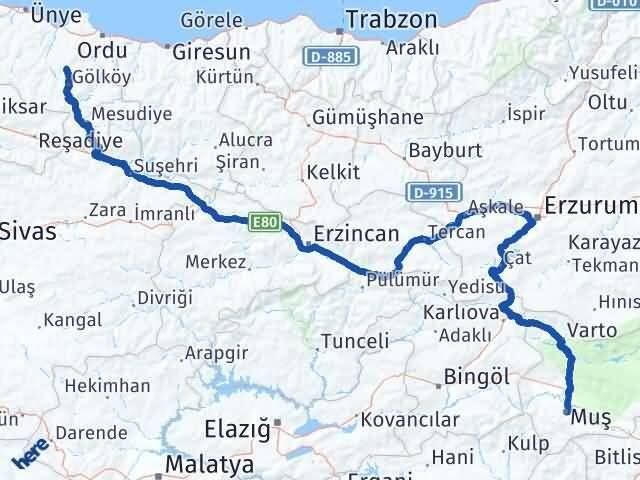 Muş Gürgentepe Ordu Arası Kaç Km - Yol Haritası