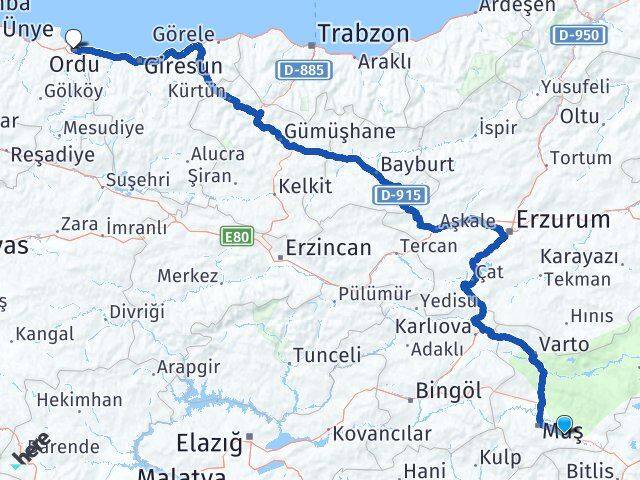 Muş Hasköy Ordu Arası Kaç Km - Yol Haritası