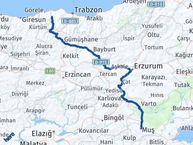 Muş Şalpazarı Trabzon Arası Kaç Km - Yol Haritası