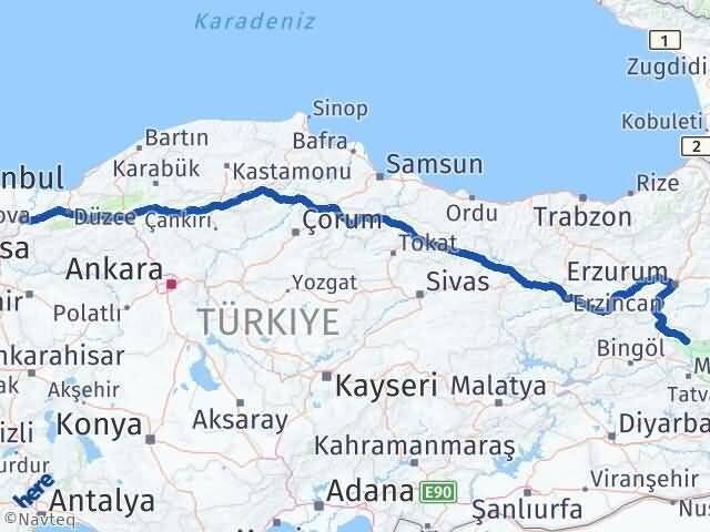 Muş Varto Sakarya Arası Kaç Km - Yol Haritası