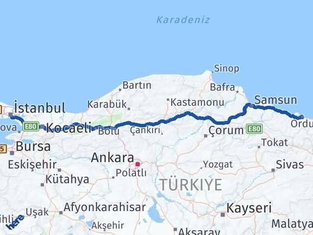 Ordu Kadıköy İstanbul Arası Kaç Km - Yol Haritası