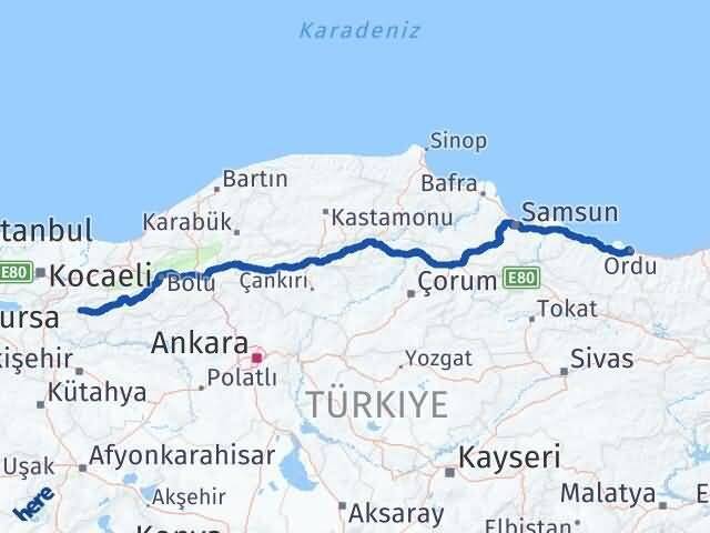 Sakarya Taraklı Ordu Arası Kaç Km - Yol Haritası