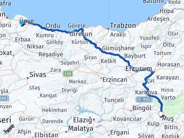 Salıpazarı Muş Arası Kaç Km - Yol Tarifi