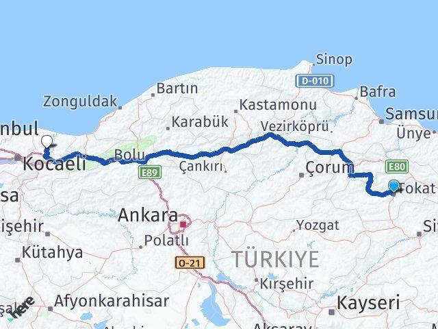 Tokat Söğütlü Sakarya Arası Kaç Km - Yol Haritası