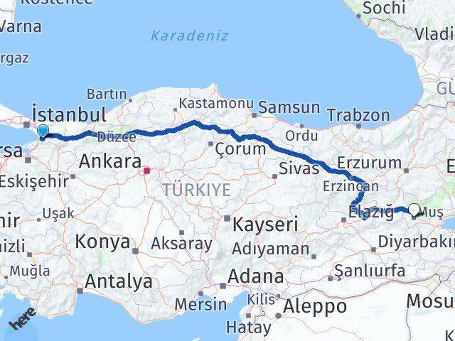 Yalova Altınova Muş Arası Kaç Km - Yol Haritası