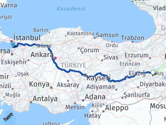 Yalova Çınarcık Muş Arası Kaç Km - Yol Haritası