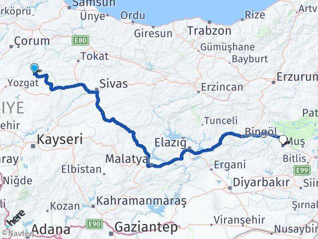 Yozgat Çekerek Muş Arası Kaç Km - Yol Haritası