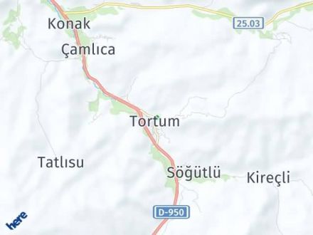 Erzurum Yol Tarifi Haritası