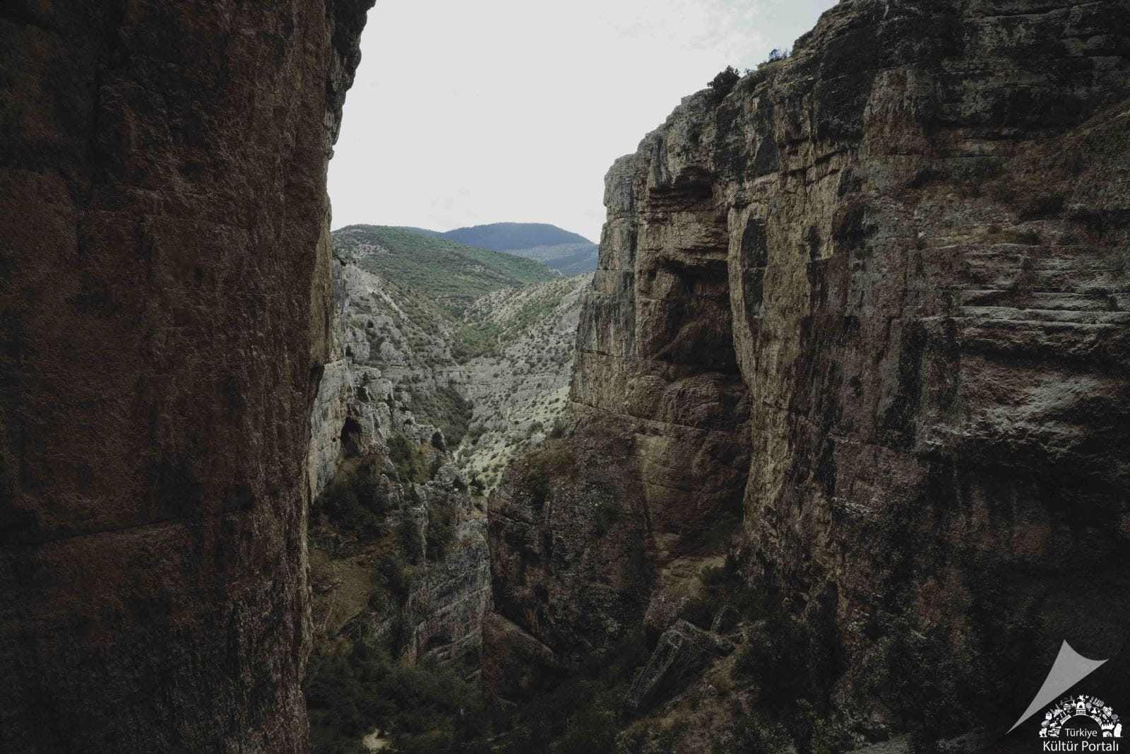 Cehennem Deresi Kanyonu Ardanuç Artvin Dik Kayalıklar