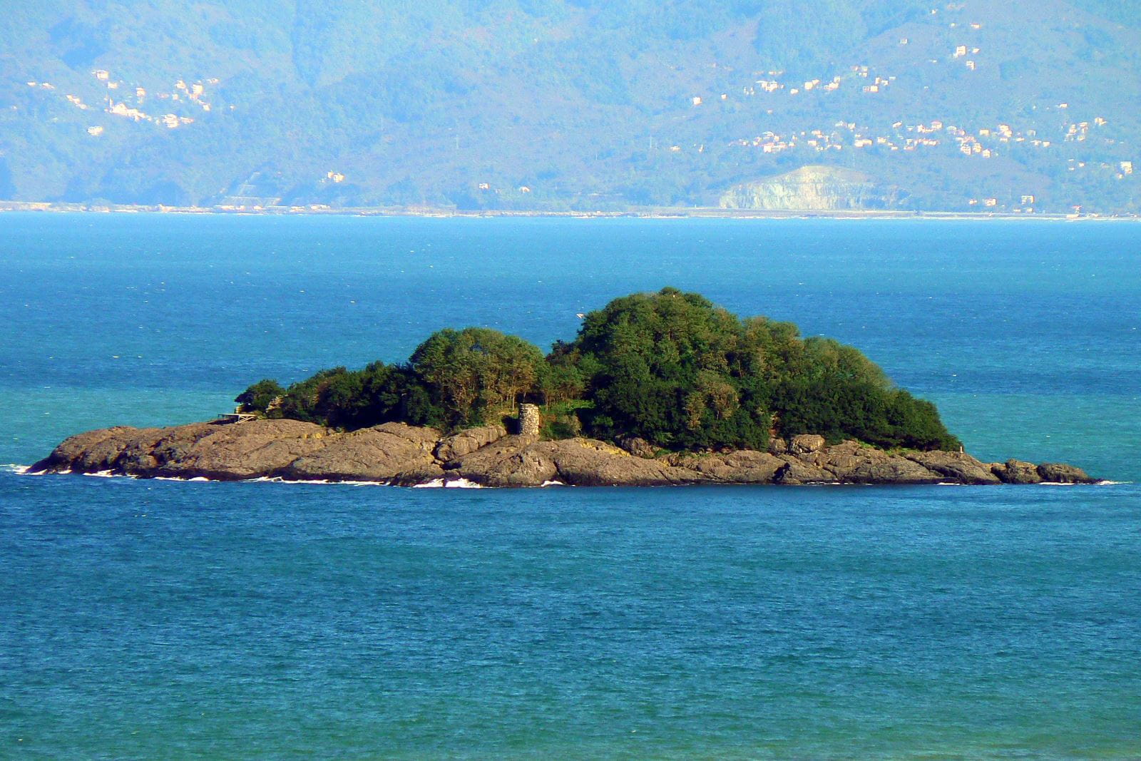 Giresun Adası Yeşillikler Ve Karadeniz Manzarası