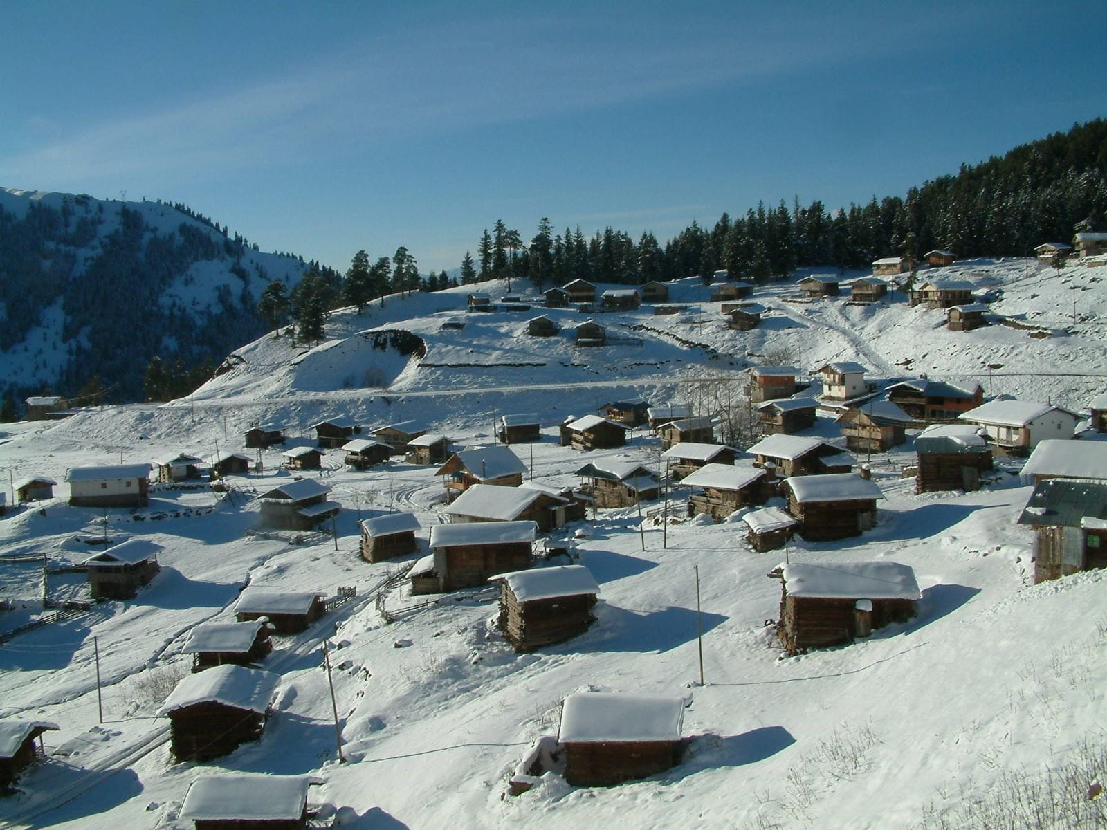 Şavşat Karagöl Milli Parkı Ve Orman Manzarası Artvin