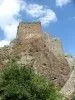 Artvin Kalesi