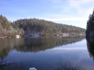 Bozcaarmut Göleti