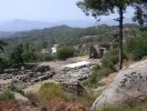Labraunda Antik Kenti