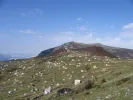 Sis Dağı Yaylası